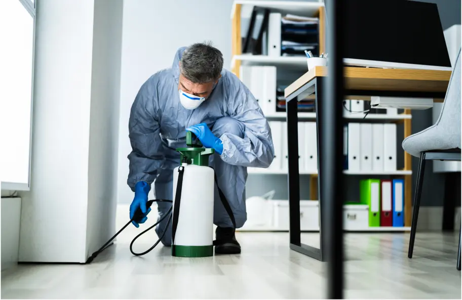 Office Buildings Pest Control In Madurai