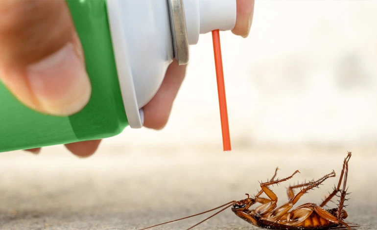 Cockroach Control Service