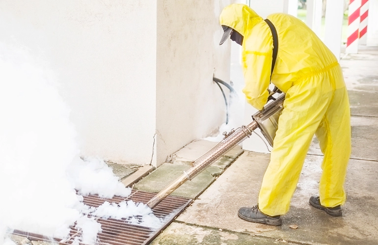 Fumigation Service