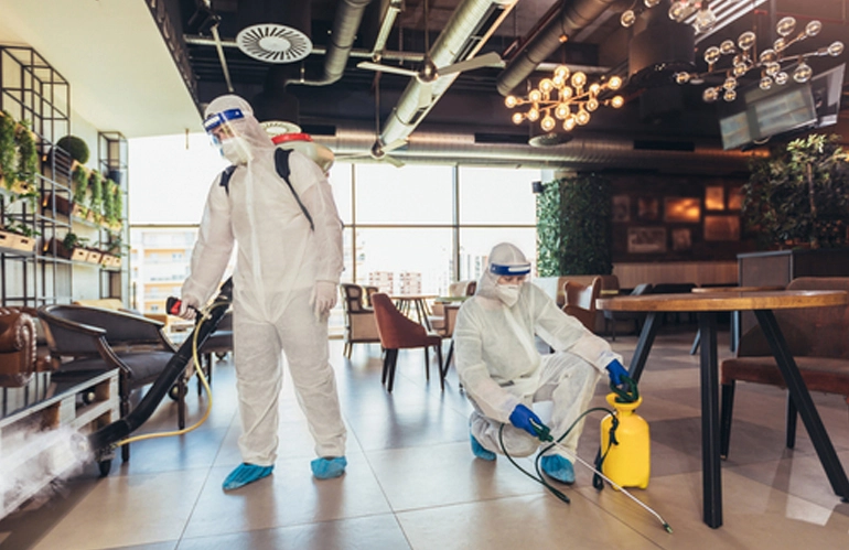 Restaurant Pest Service